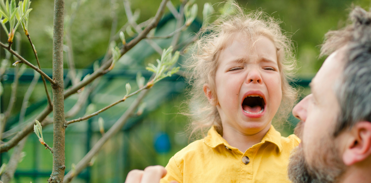 A young child cries in the arms of her dad.